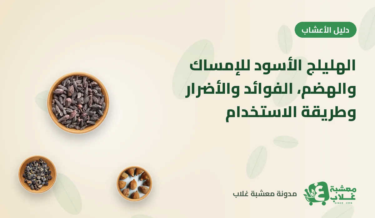 الهليلج الأسود للإمساك والهضم: الفوائد والأضرار وطريقة الاستخدام