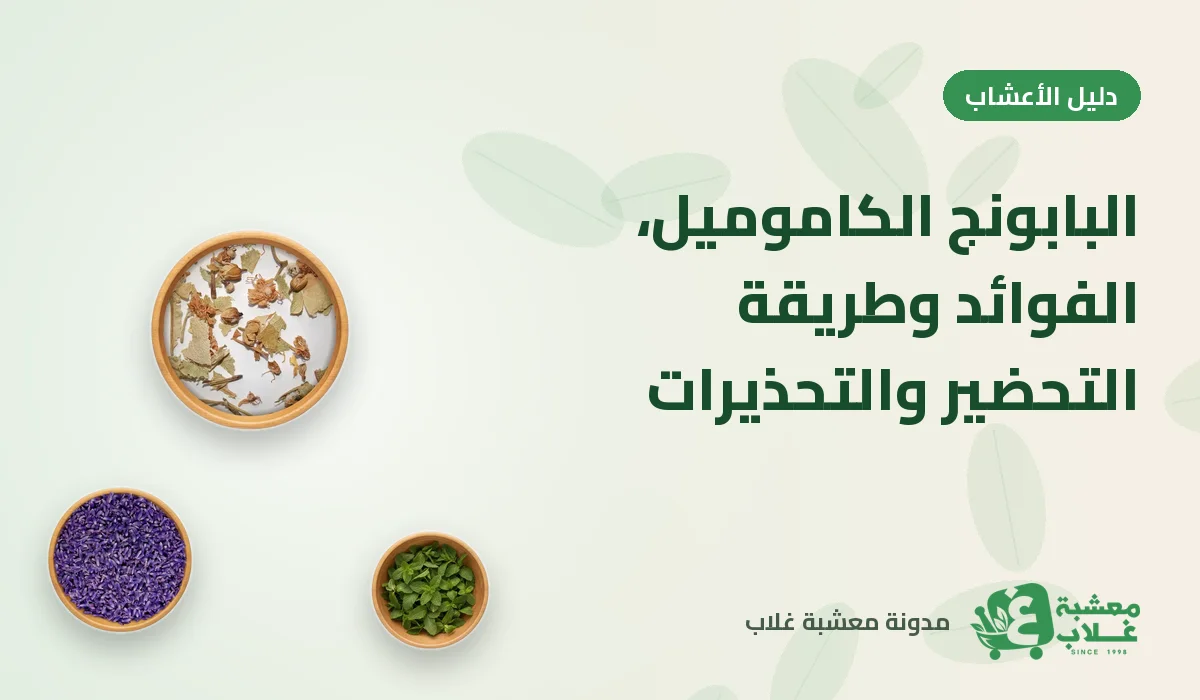 البابونج (الكاموميل): الفوائد وطريقة التحضير والتحذيرات