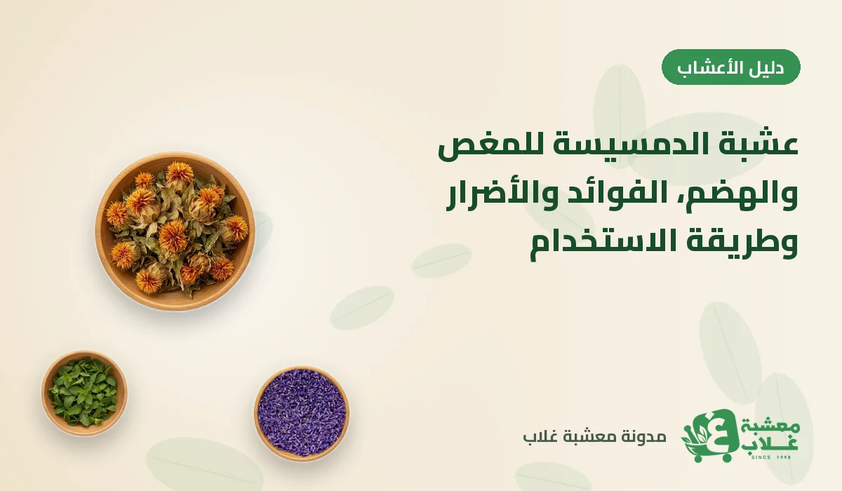عشبة الدمسيسة للمغص والهضم: الفوائد والأضرار وطريقة الاستخدام