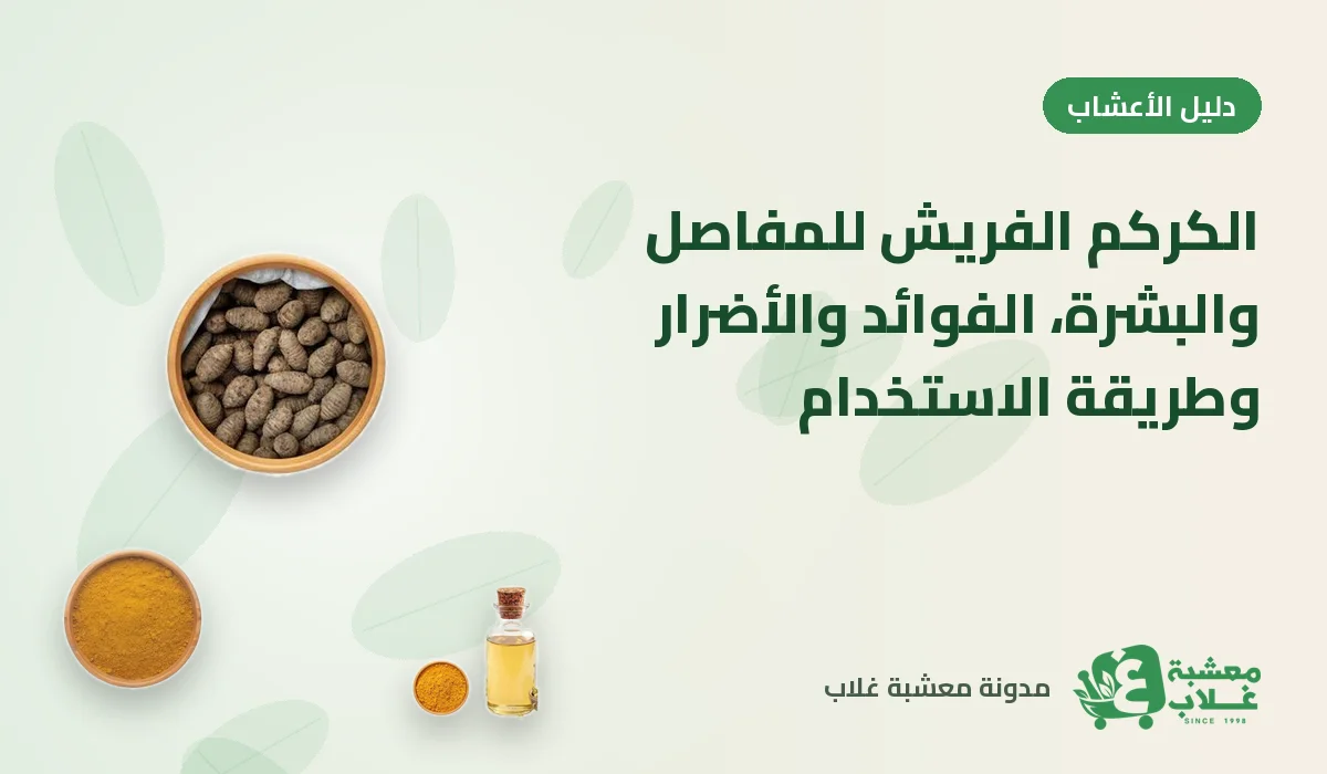 الكركم الفريش للمفاصل والبشرة: الفوائد والأضرار وطريقة الاستخدام