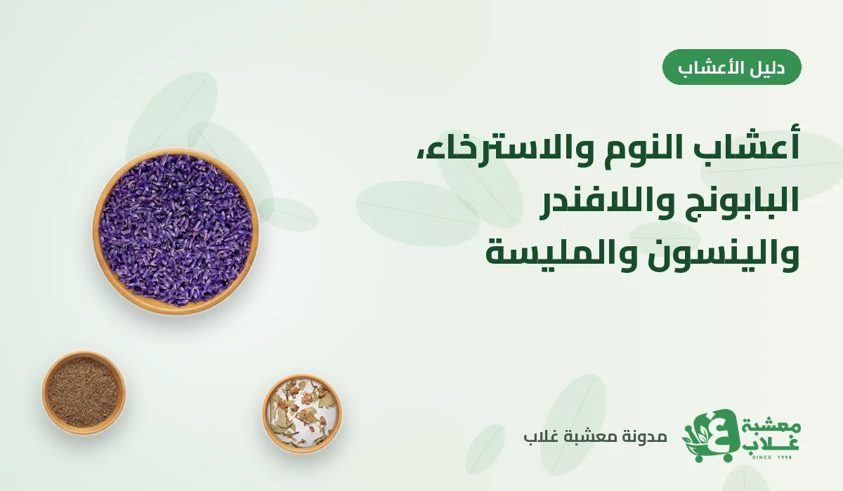أعشاب النوم والاسترخاء: البابونج واللافندر والينسون والمليسة