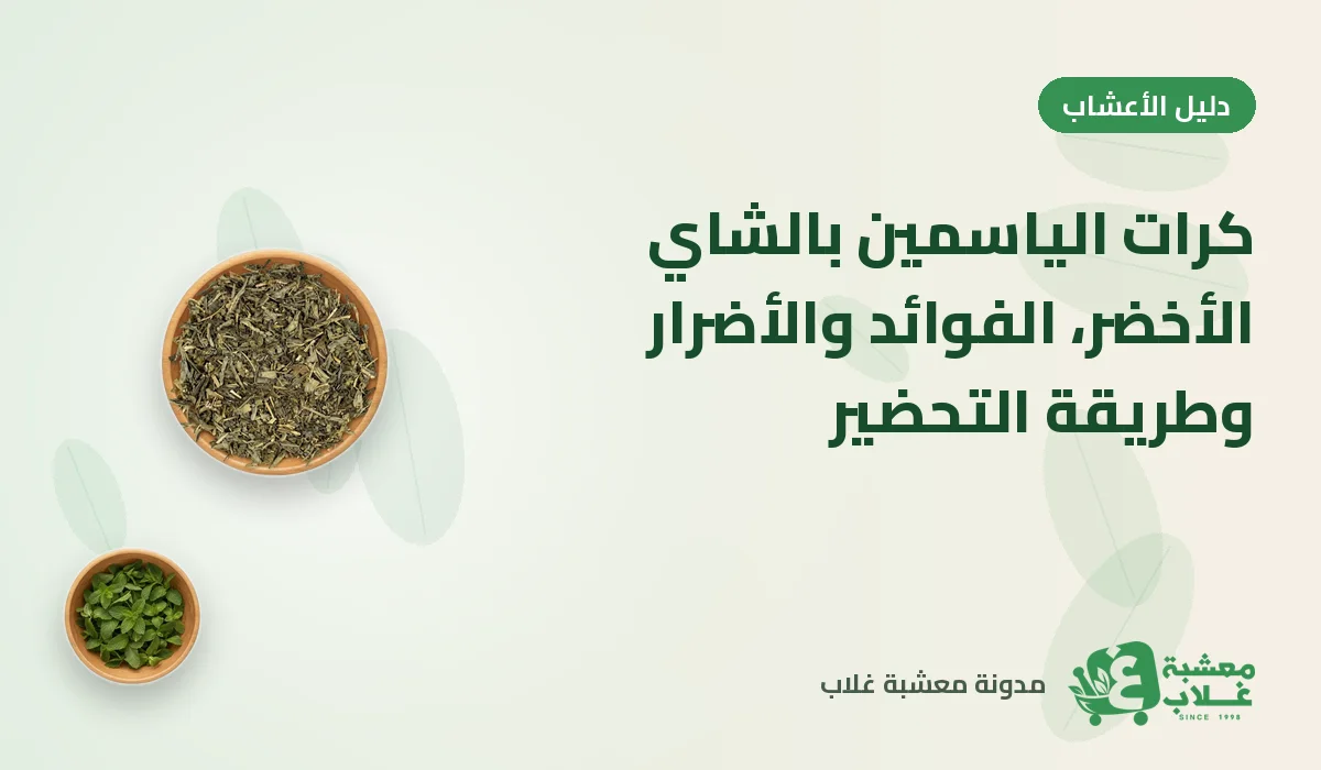 كرات الياسمين بالشاي الأخضر: الفوائد والأضرار وطريقة التحضير
