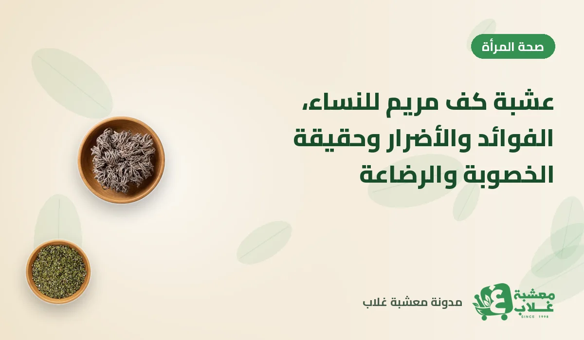 عشبة كف مريم للنساء: الفوائد والأضرار وحقيقة الخصوبة والرضاعة