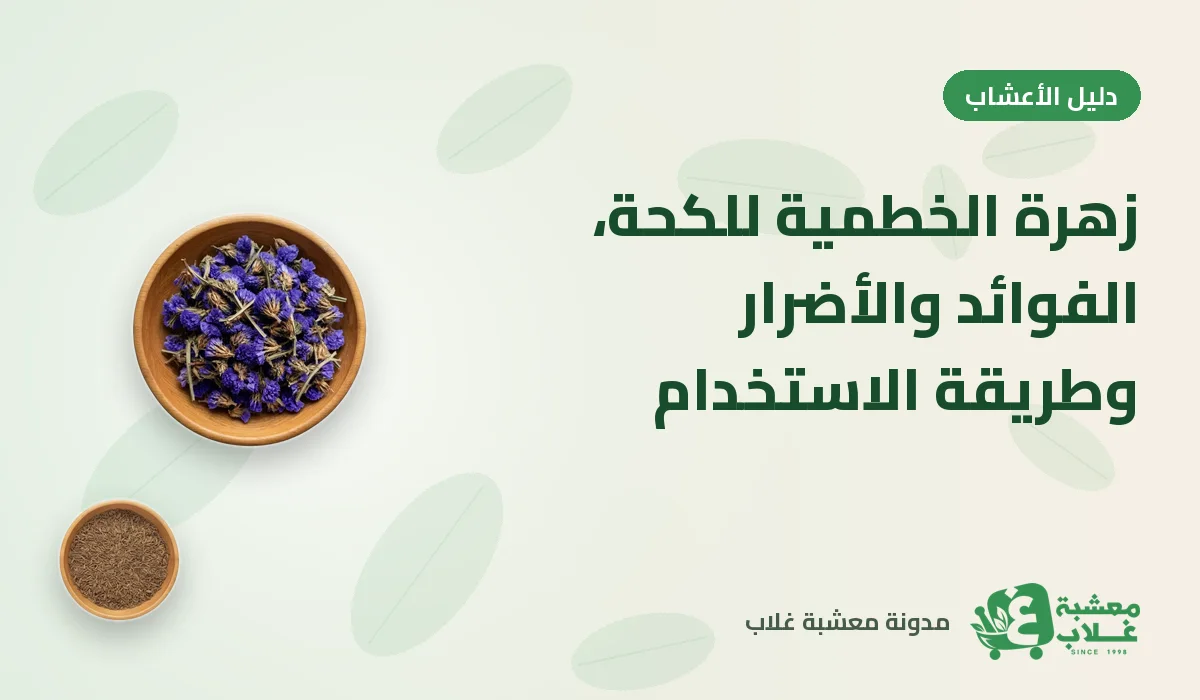 زهرة الخطمية للكحة: الفوائد والأضرار وطريقة الاستخدام