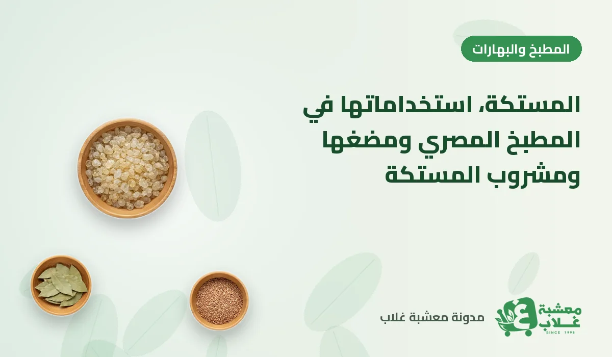 المستكة: استخداماتها في المطبخ المصري ومضغها ومشروب المستكة