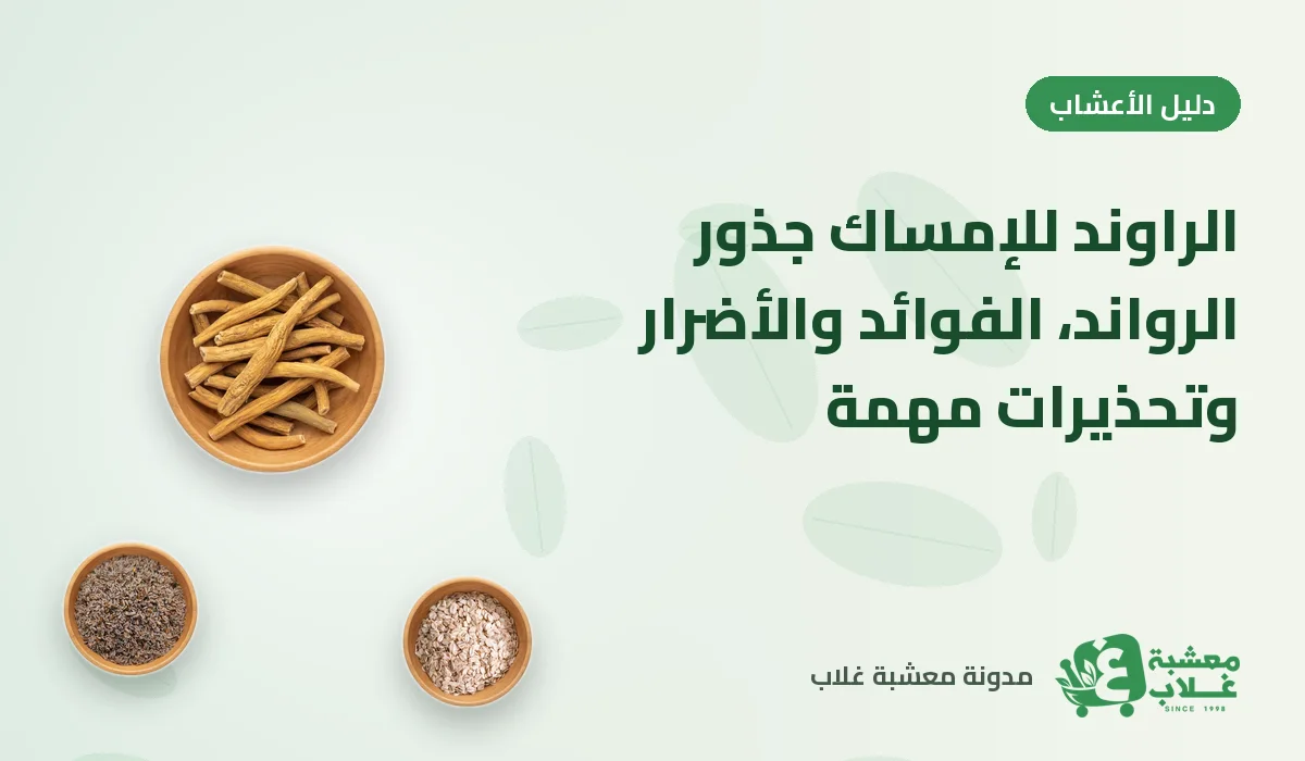 الراوند للإمساك (جذور الرواند): الفوائد والأضرار وتحذيرات مهمة