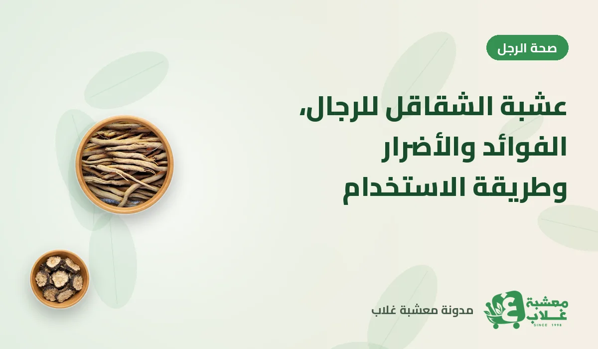 عشبة الشقاقل للرجال: الفوائد والأضرار وطريقة الاستخدام