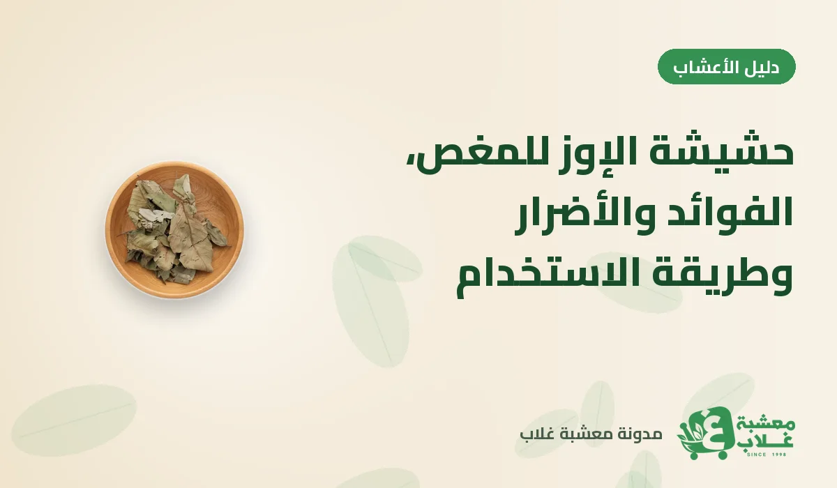 حشيشة الإوز للمغص: الفوائد والأضرار وطريقة الاستخدام