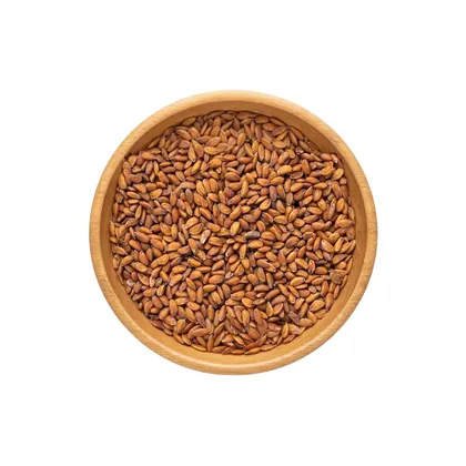 حب الرشاد