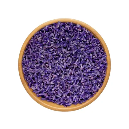 لافندر