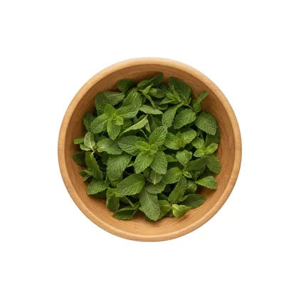 نعناع