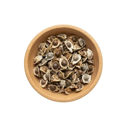 مورينجا