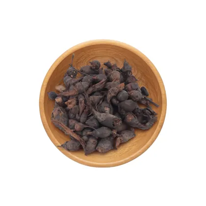 عشبة السعد